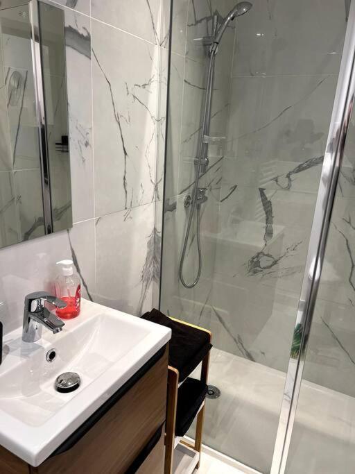 Tres Chaleureux Apartment Roubaix